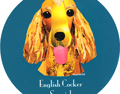 008 | English Cocker Spaniel