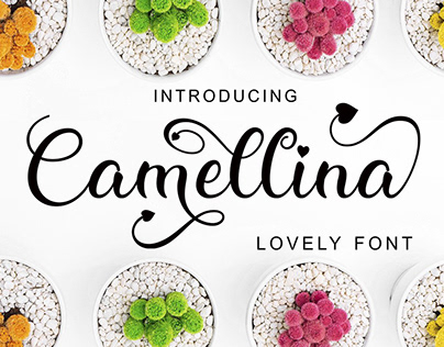Camellina Script