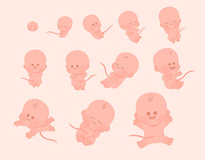 Baby illustration & motion design