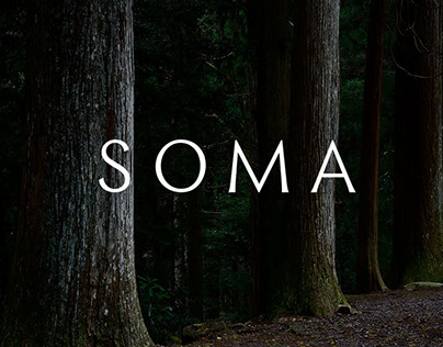 Soma Bra Fit Landing Page 2019 :: Behance