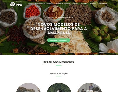 Site para PPA aceleracao.ppa.org.br