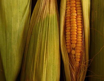 Corn : The Egyptian way to eat
