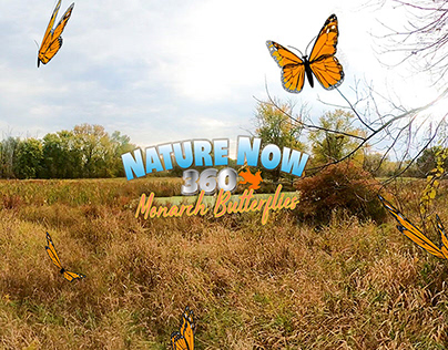 Nature Now 360º video