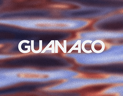 Project thumbnail - Guanaco ::: El tiempo corre