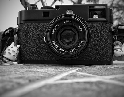 Leica M262