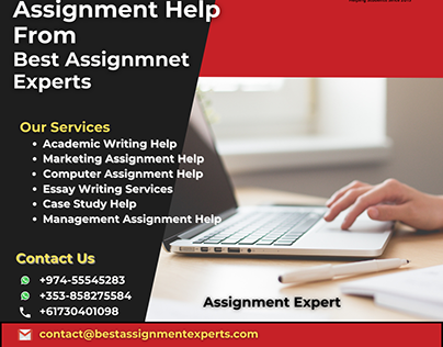 Online Assignment Experts