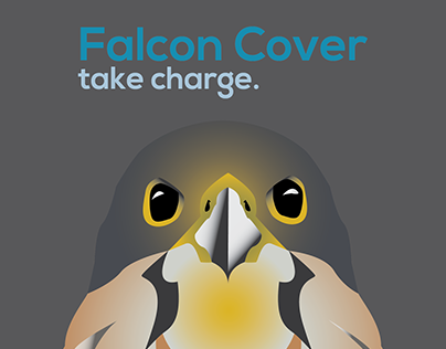 Falcon Cover: DESN301 Strategic Design Plan