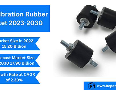 Anti Vibration Rubber Mount Market Growth & Trends