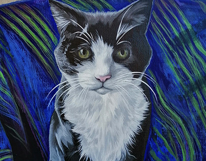 Cat Portrait | Pepsi