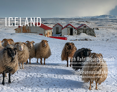 Iceland │ Old farmhouse area │ Part 64
