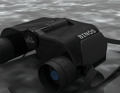 Binocular modelling + render