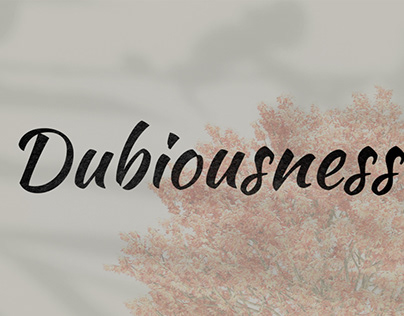 DUBIOUSNESS - coleção capsula de moda