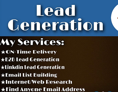 I will do b2b lead generation, data entry,web research