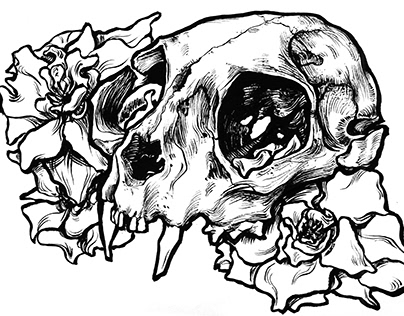 Skulls & Flowers