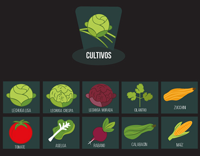 Project thumbnail - Veggies and Plants Icons
