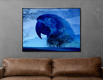 Parrot in living room