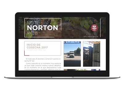 Diseño de boletín digital para Bodega Norton