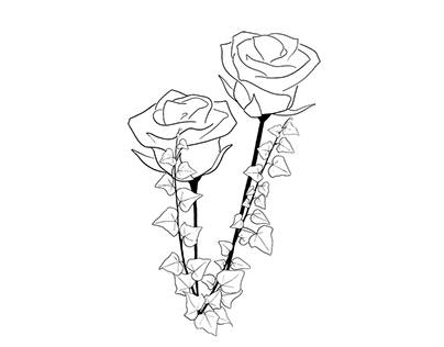 Rose & Ivy Concepts