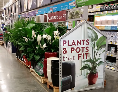 Plants and Pots that Fit Display