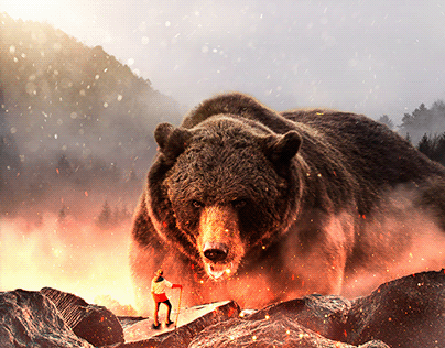 "Bear Grylls" - Composição