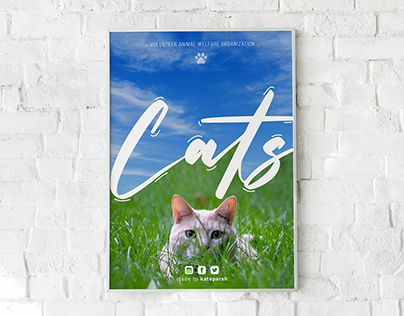 Poster "Cats"