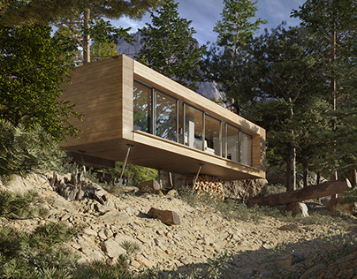 Современный дом в горах и лесу