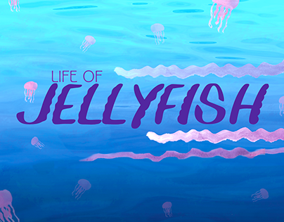 Jellyfish Process Science Exhibit