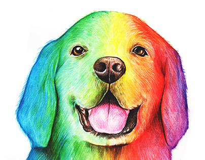 Rainbow Dog Drawing