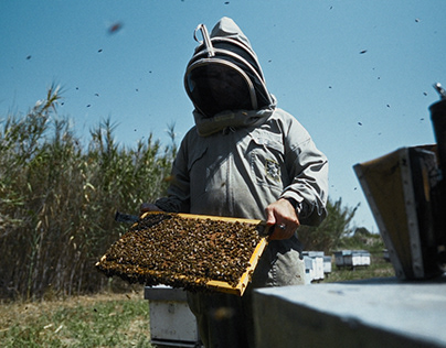 Extreme E | Sardegna | Bees Documentary