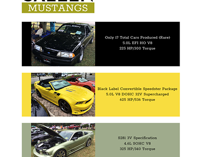 Saleen Mustangs