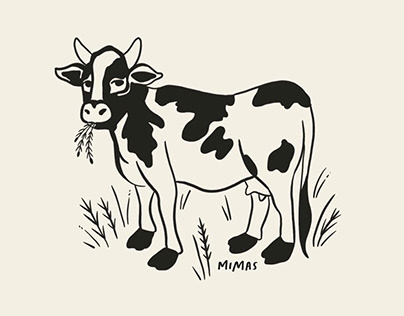 Vaca Pasiega - Illustration