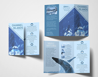 Sophomore year Graphic Design 1 Brochure