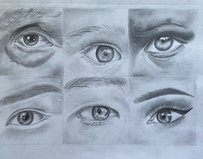 Eyes Anatomy