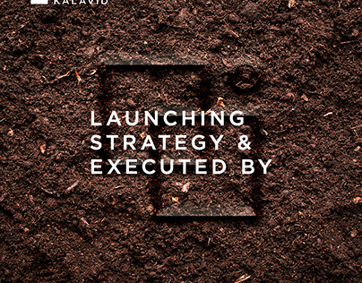 Kalavid: Strategic Branding , Seizing Opportunities