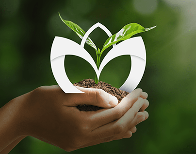 Logo design for growing and delivering seedlings