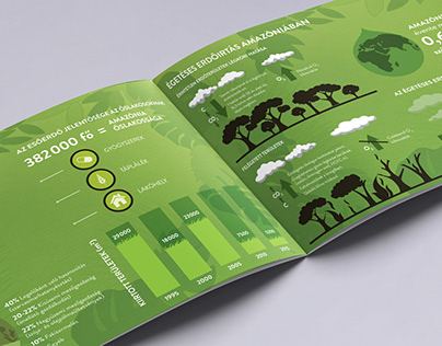 Infographic Design – Amazonia Tropical Deforestation