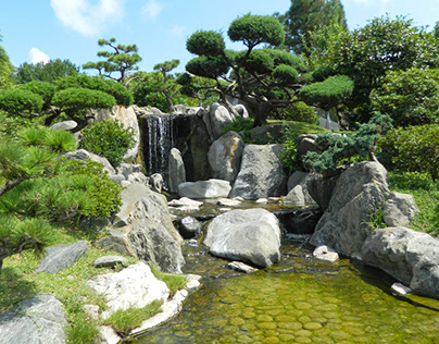 Jardín Japones
