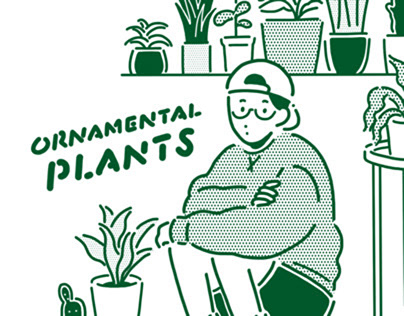 Project thumbnail - ornamental plants