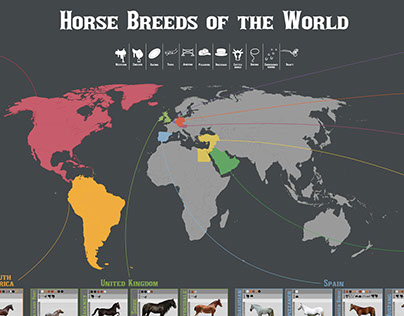 Horse Breeds Large Infographic