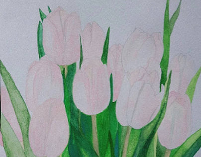 PENCIL & Watercolor / Flower  theme