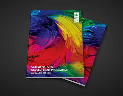United Nations Development Program (UNDP) Annual Report