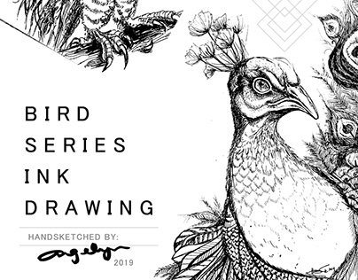 Bird Series- Ink Drawings