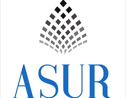 ASUR Holdings - Website