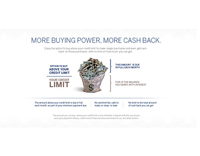 AMEX (More Buying Power, More Cash back