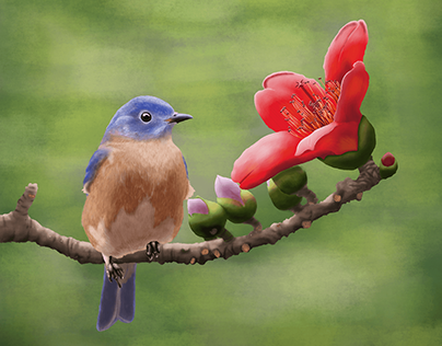 A bird contemplating a flower.