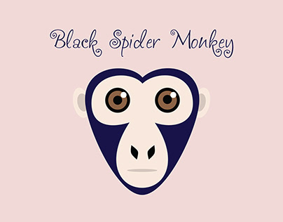Black spider monkey #sanctuaryjanuary