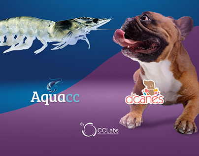Project thumbnail - AquaCC y d'canes: 2 en 1