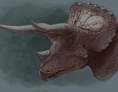Old triceratops