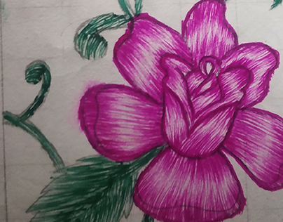Rose sketche artwork(pink)