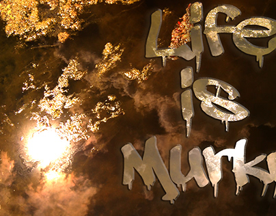 Life is Murky Quote